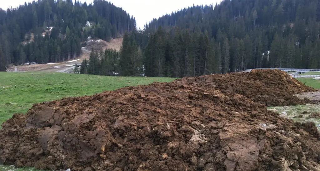 Val Rendena, quanto letame… ma l’avvio del biodigestore è ancora frenato dalla burocrazia, un problema per gli allevatori