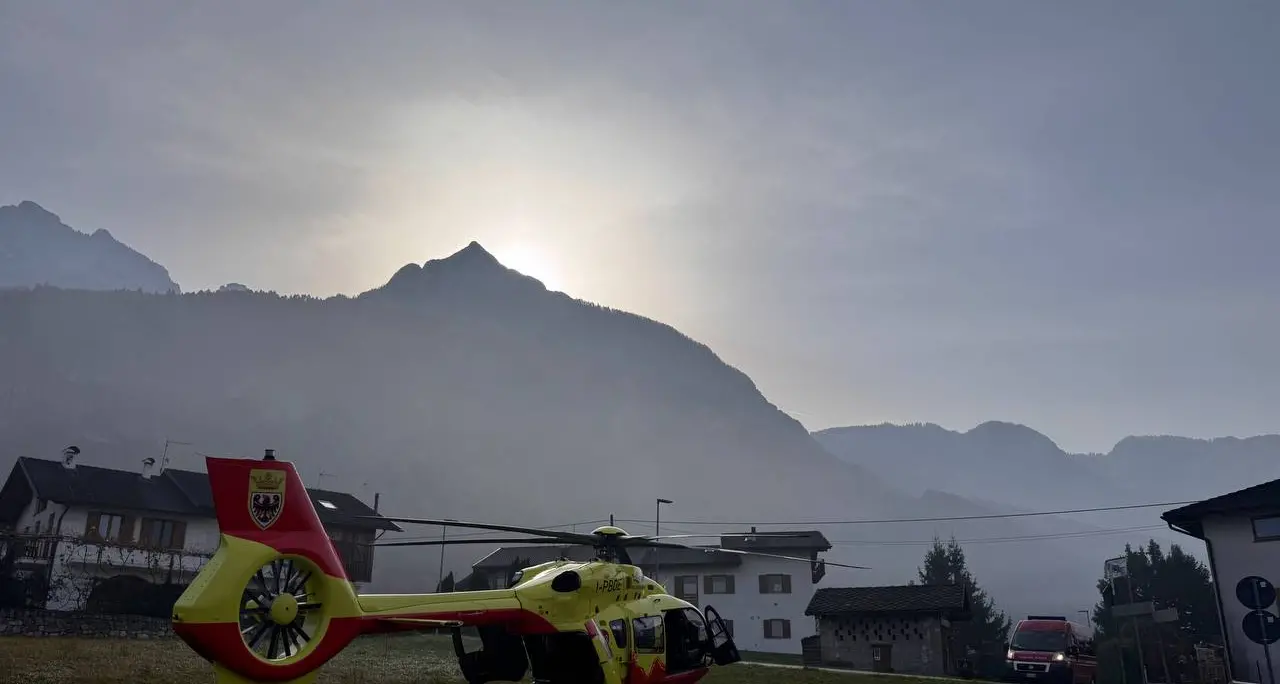 Cade da una pianta: ferito dopo un volo di 4 metri