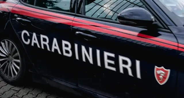 Bimbo morto nel Torinese: procura minori, 'ai nonni l'altro figlio'