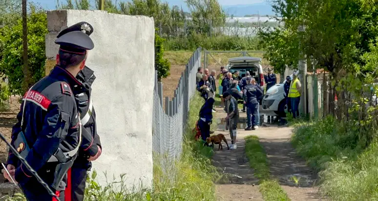 Salerno, bimbo di 15 mesi sbranato da due pitbull in casa, ferita la mamma che prova a difenderlo