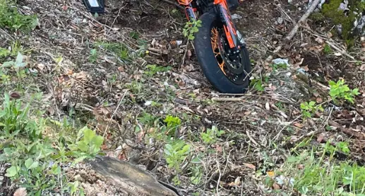 Motociclista investe un capriolo, e muore nella caduta, a passo Vezzena