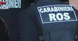 Operazione contro la 'ndrangheta, 17 arresti: inchiesta coordinata con Trento e Venezia
