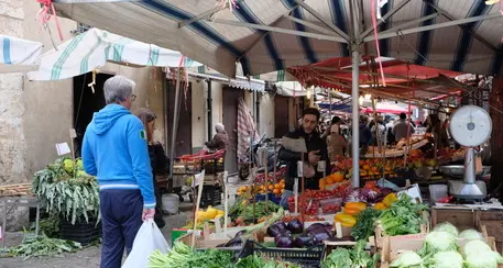 Coldiretti: “Serve un deciso intervento per contenere la bolletta energetica nelle campagne”