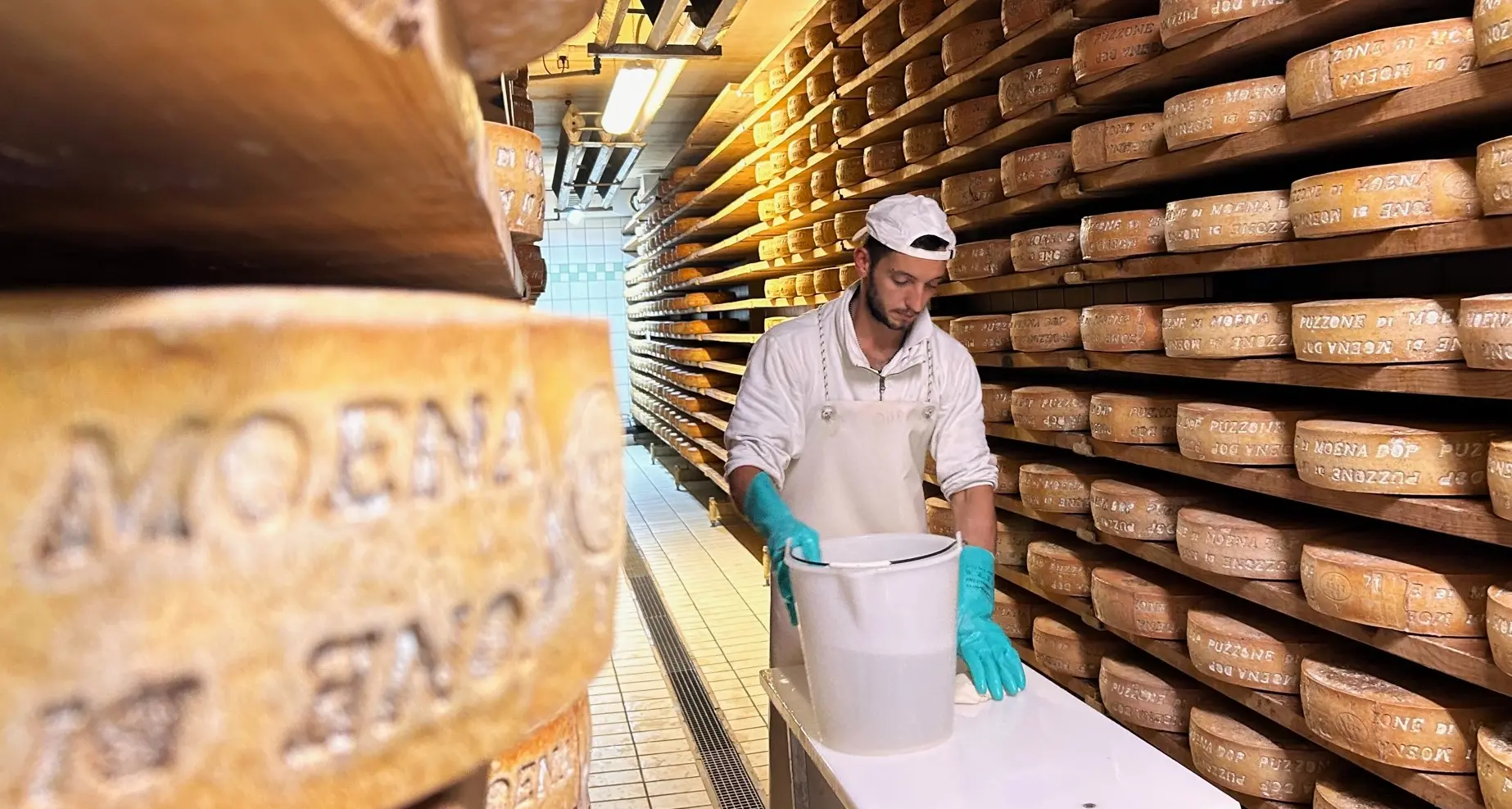 Il Puzzone di Moena ci riprova: in finale per \"Italian Cheese Award\" nazionale 2024, domenica il verdetto