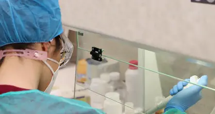 Gli effetti del coronavirus sul sistema respiratorio: lo studio della Fbk