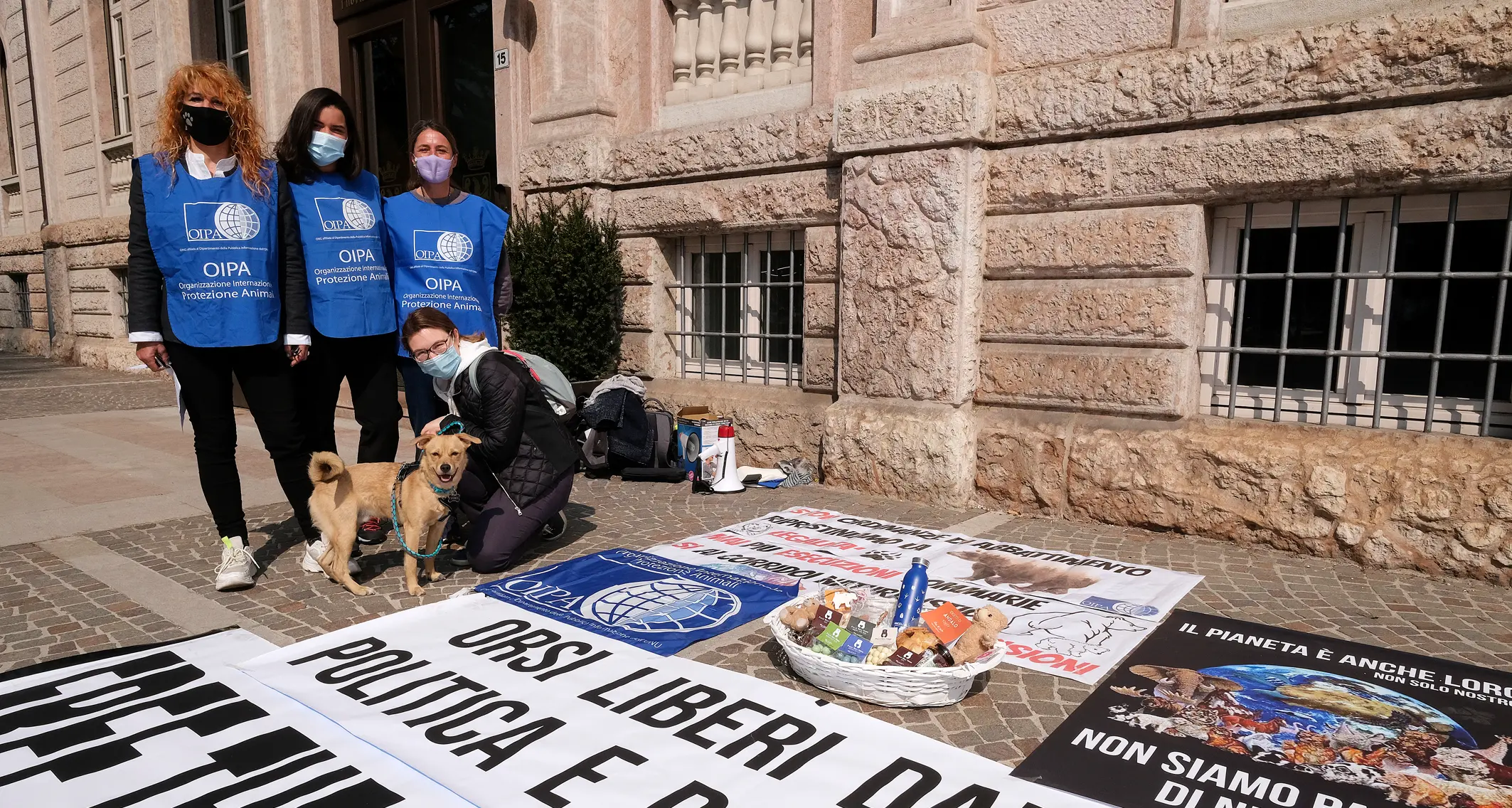 Sit-in per gli orsi liberi, e mano tesa anche alla Coldiretti