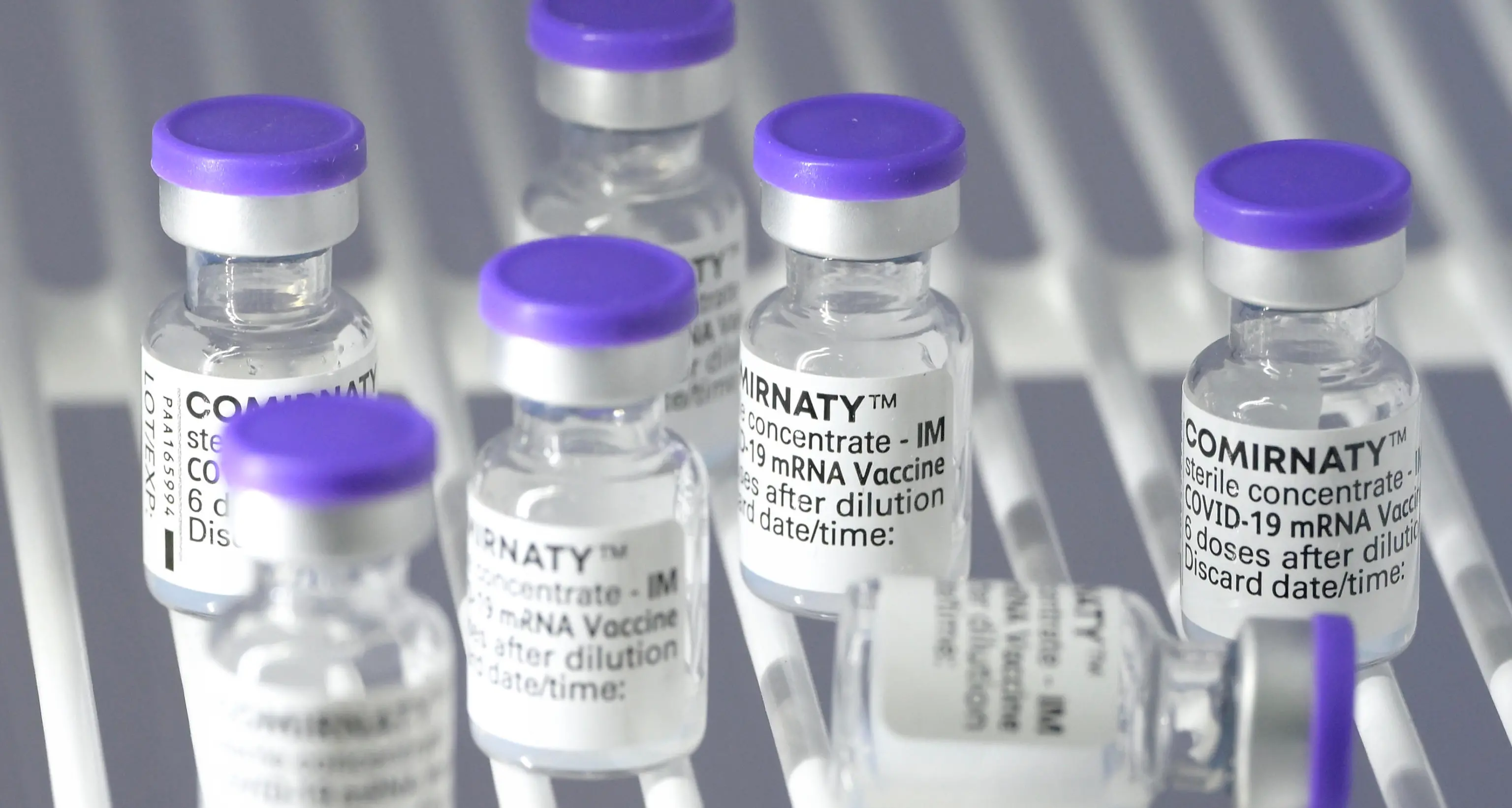 Bolzano, un altro «caso Nava», il dirigente vaccina la moglie «per non buttare la dose»