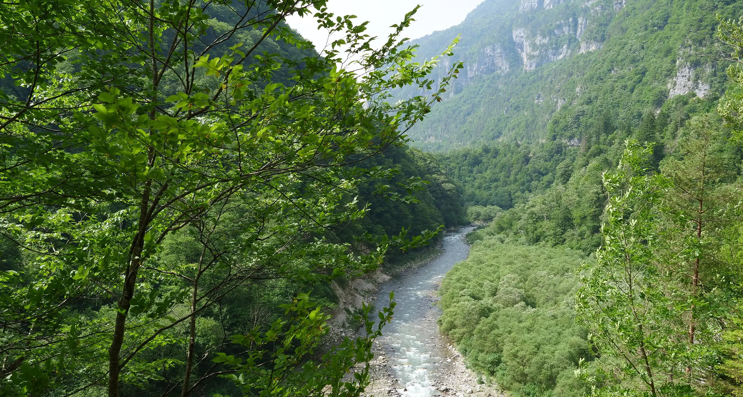 Diga del Vanoi, l’assessore Tonina: «Veneto fermi il progetto, senza il Trentino non si fa nulla»