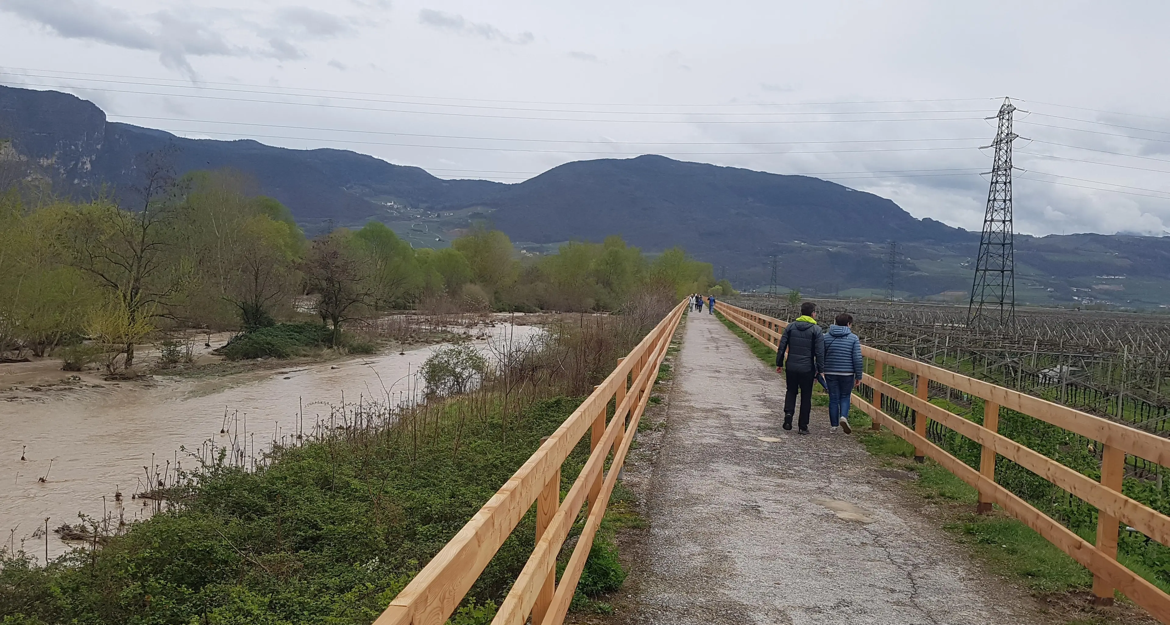 Mezzolombardo lavora per valorizzare natura e paesaggi: al via l’intervento lungo il fiume Noce