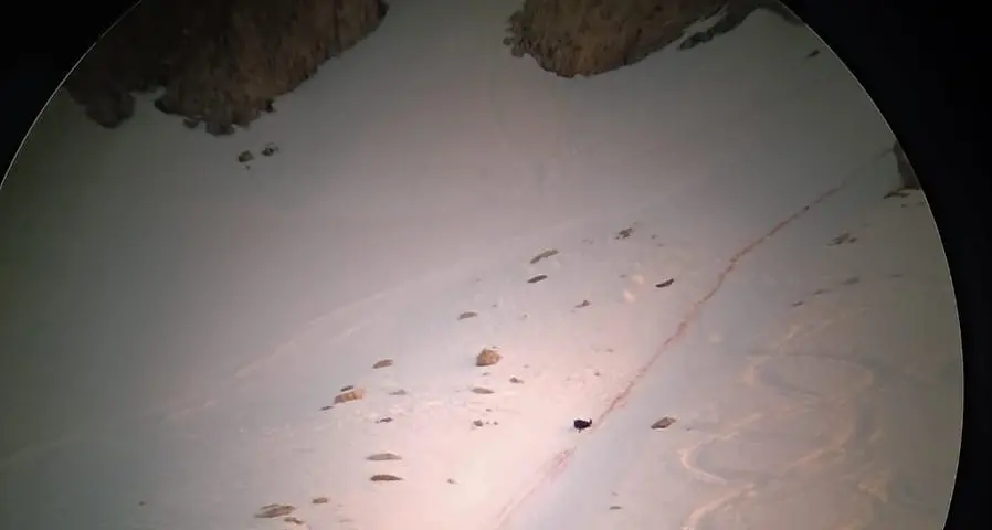 Pordoi, una scia di sangue di duecento metri nella neve: il monito delle guide alpine dopo l’incidente