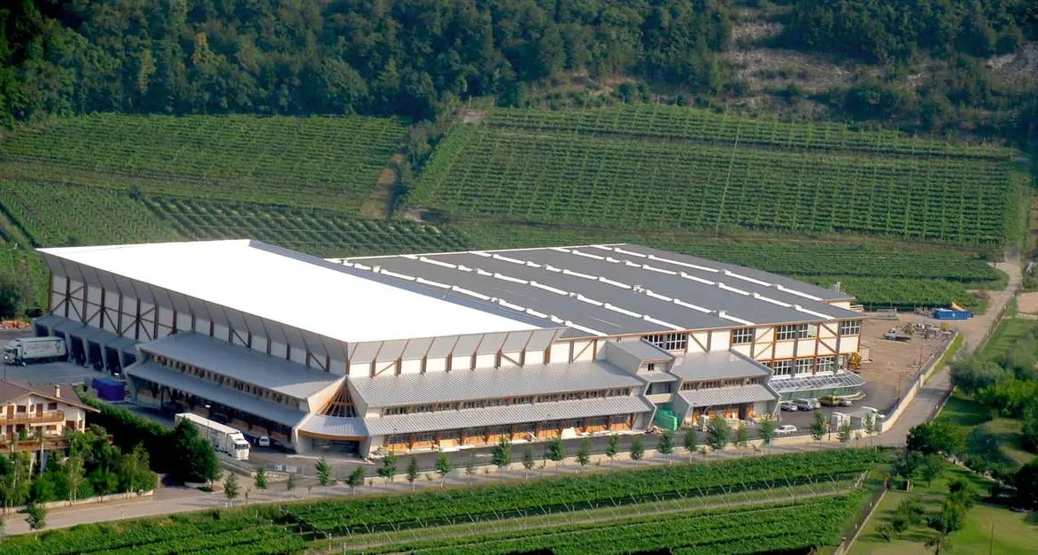 La coop Arborea licenzierà 35 dipendenti dello stabilimento di Roveré della Luna