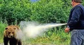 Failoni: “Sì allo spray anti orso, passo importante per la sicurezza in montagna”