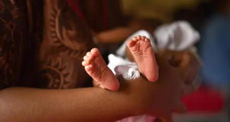 Denatalità, sindacati trentini: «Miglioriamo la stabilità occupazionale»