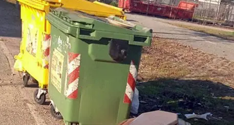 Una bara (vuota) buttata per strada di fianco ai cassonetti