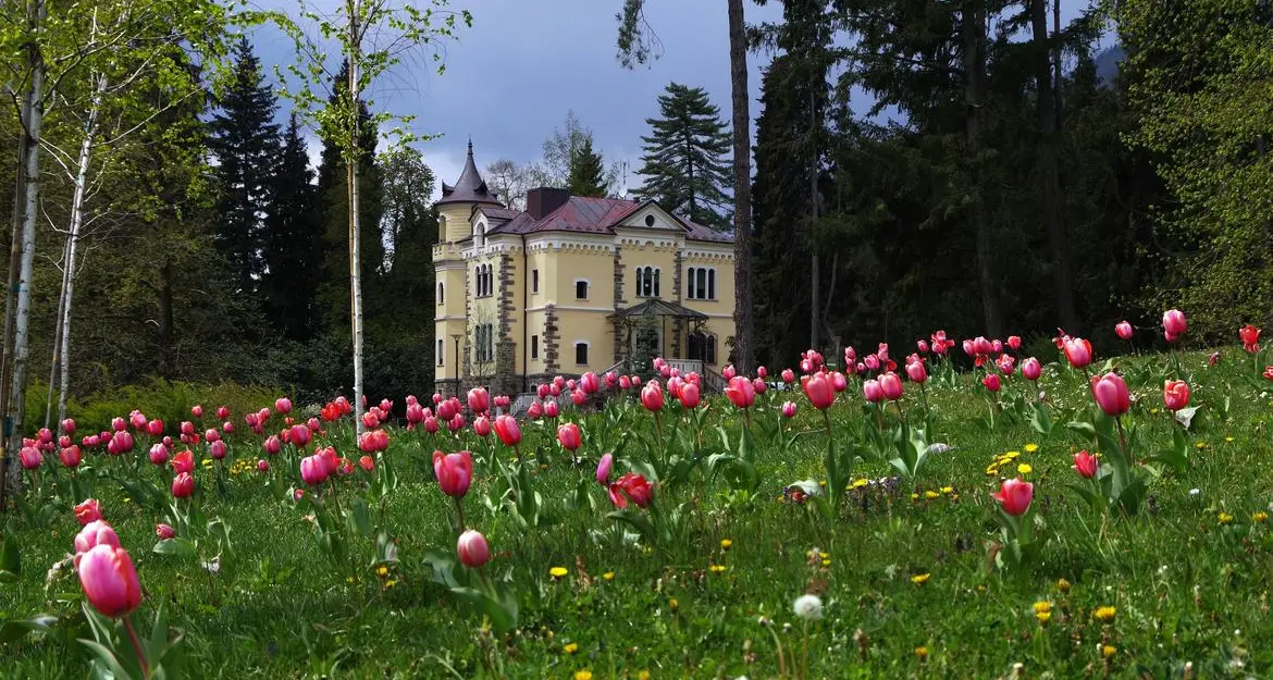 Dal 10 al 12 aprile al Parco delle Terme di Levico torna Tulipomania