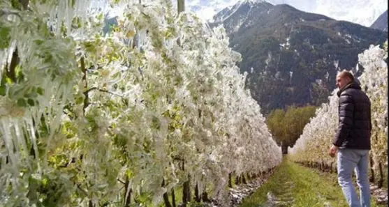 Allerta gelate in campagna: fino a domenica temperature a meno 5, anche nei fondovalle