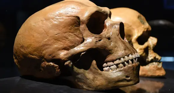 Sì, il Covid ha colpito di più chi ha il dna dei Neanderthal: ecco lo studio sulla pandemia in provincia di Bergamo