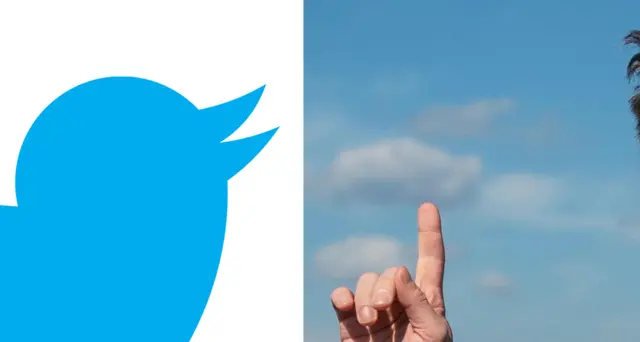 Twitter: Musk toglie uccellino e mette cane simbolo crypto