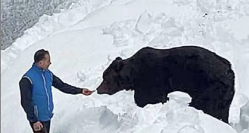 Grande dolore per la morte di Fausto Iob, l’amico dell’orso: “Un punto di riferimento per tutti”