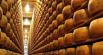 Trentingrana, Latte Trento contro il consorzio: alzate i prezzi di questo formaggio o tutto il settore andrà in crisi