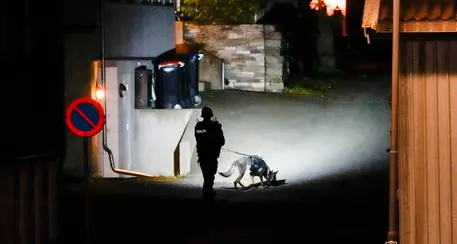 Orrore in Norvegia, armato di arco e frecce fa una strage: almeno 5 i morti