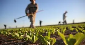 Crisi nel settore del commercio e dell’agricoltura: non ci sono finanziamenti per chi investe