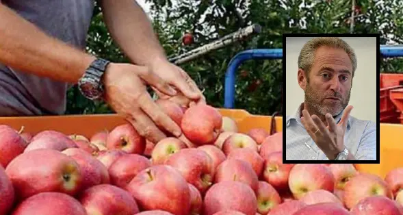 Intesa Ue-Mercosur: tra i prodotti tutelati le mele altoatesine, ma il Trentino non c’è