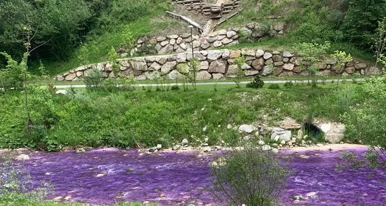 Sversamento abusivo, il torrente Cismon diventa... tutto viola