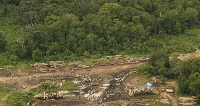 Amazzonia: ong, ad agosto maggiore deforestazione da 10 anni