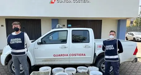 Guardia Costiera, una tonnellata di prodotti ittici sequestrati: nei guai uno stabilimento all’ingrosso trentino
