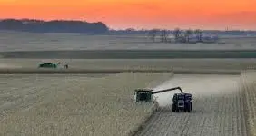 Ismea a sostegno delle imprese agricole e agroalimentari