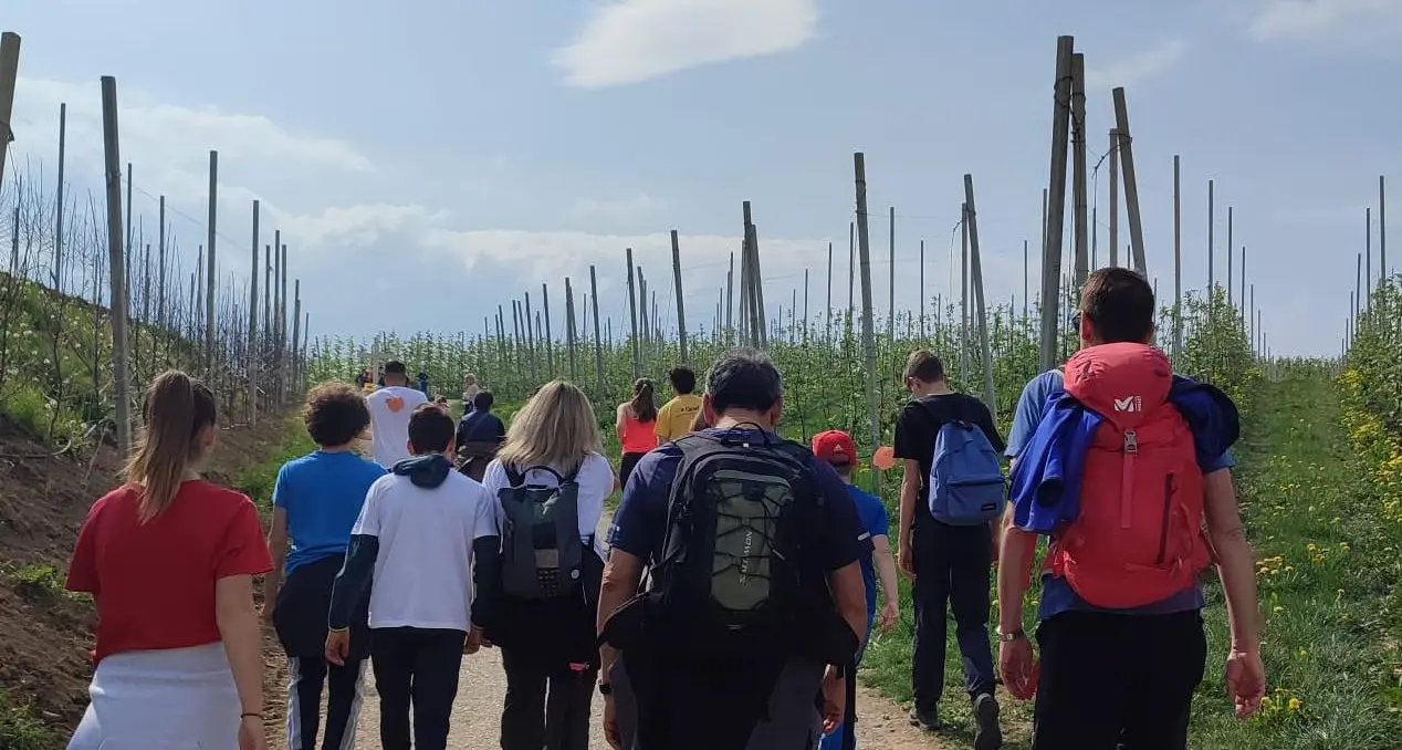 Ben 2.500 persone a passeggio tra i meleti in fiore della val di Non: una ventata di primavera e buonumore
