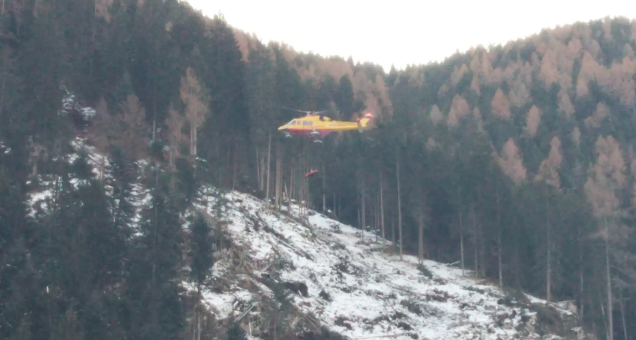 Travolto da un tronco, grave un boscaiolo di 23 anni a Folgaria