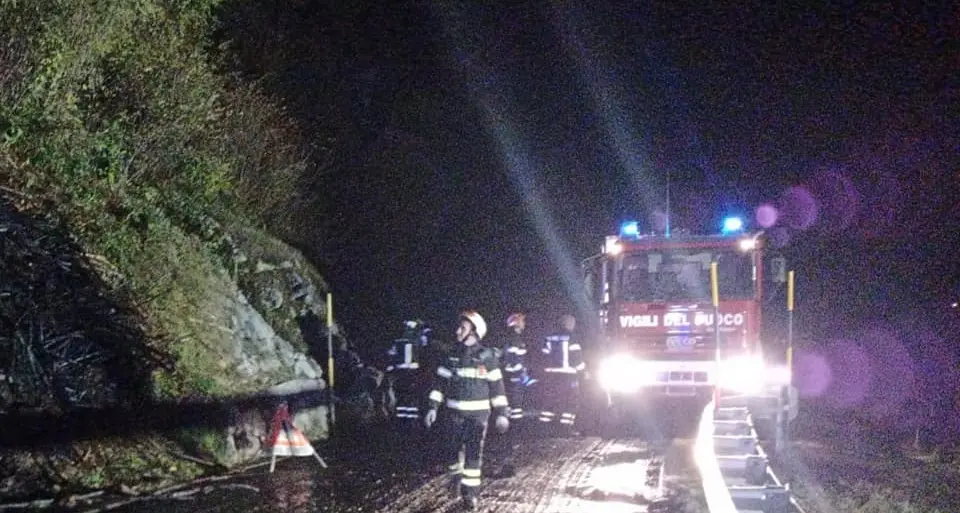 Principio di incendio nel bosco di Caoria: prontamente domato dai Vigili del Fuoco