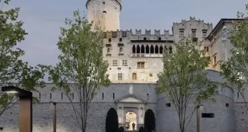 Abbattuti quattro grandi pioppi e un ginko in piazza Mostra, monta la polemica e deve intervenire Ianeselli
