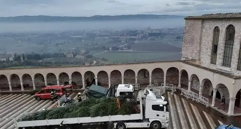Dopo l’albero di Andalo, in viaggio quello di Castel Ivano, issato ad Assisi