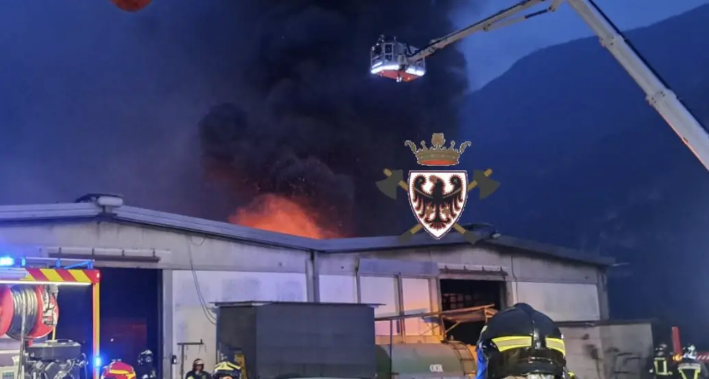 Tra i 100 e i 200 tori morti nell'incendio: rogo causato forse dal corto circuito del macchinario che distribuisce il mangime