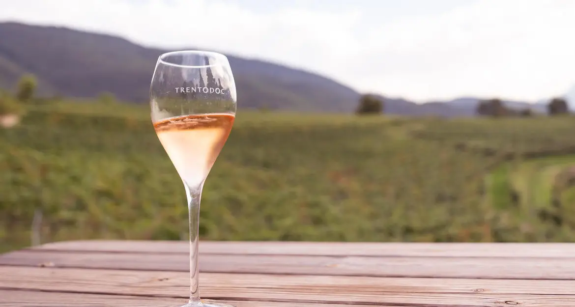Vendemmia 2025, qualità eccellente per le uve destinate al Trentodoc