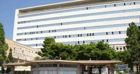 Trapani, neonato abbandonato in un sacchetto di plastica nelle campagne salvato da carabinieri