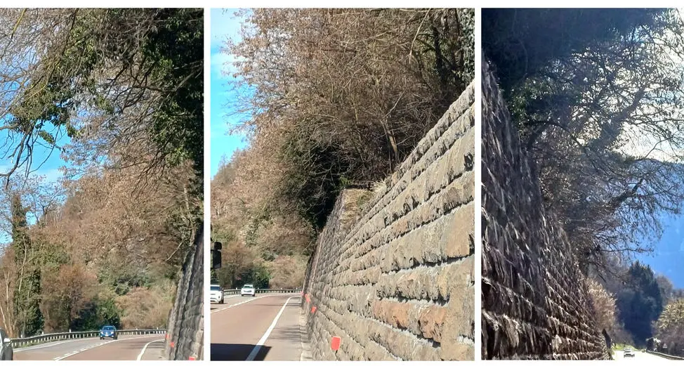 SS47 Valsugana, chiusure temporanee per taglio piante pericolanti alla Ca’ Rossa