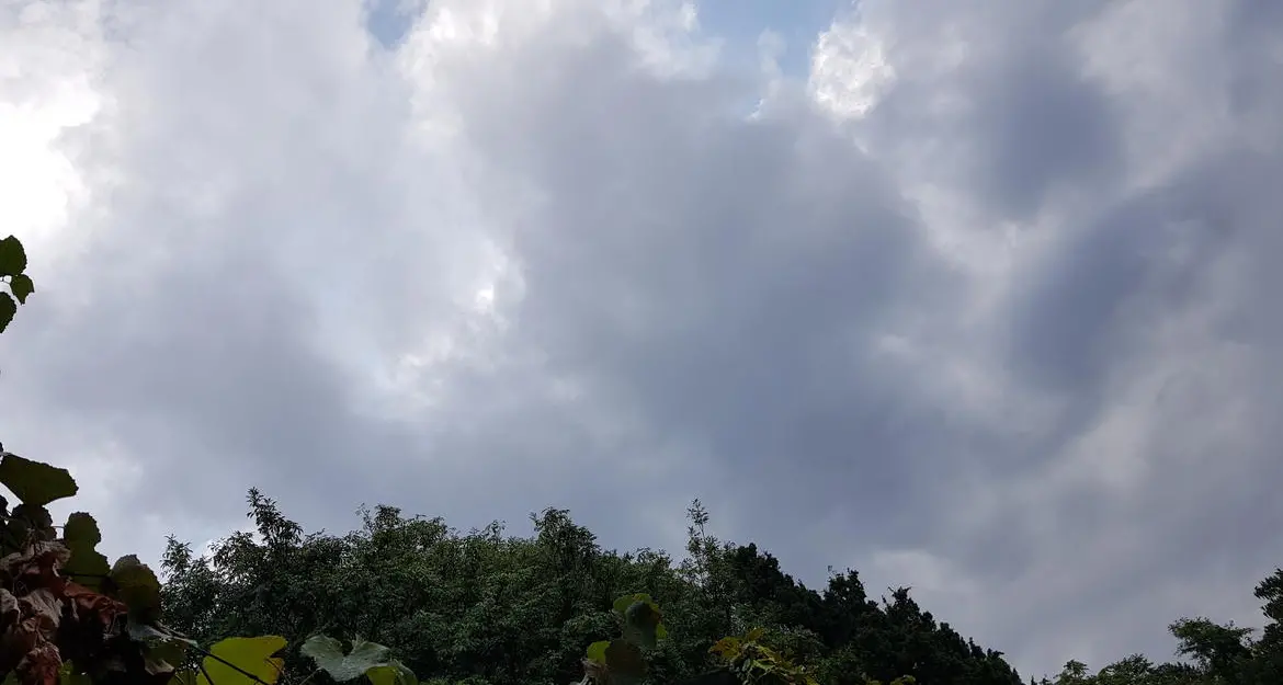 Maltempo, emesso avviso di allerta ordinaria fino alla mezzanotte di domenica 7 agosto