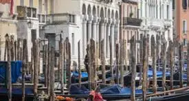 A Venezia volantini contro 'Lady Pickpocket' E' scritto: “Inciti alla violenza”.