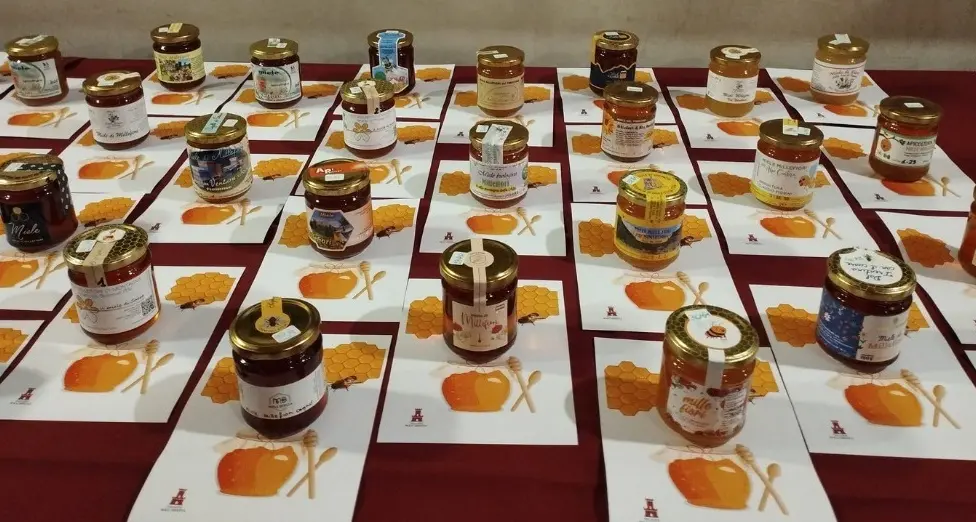 I migliori mieli del Trentino: ecco chi sono gli apicoltori premiati per ogni categoria