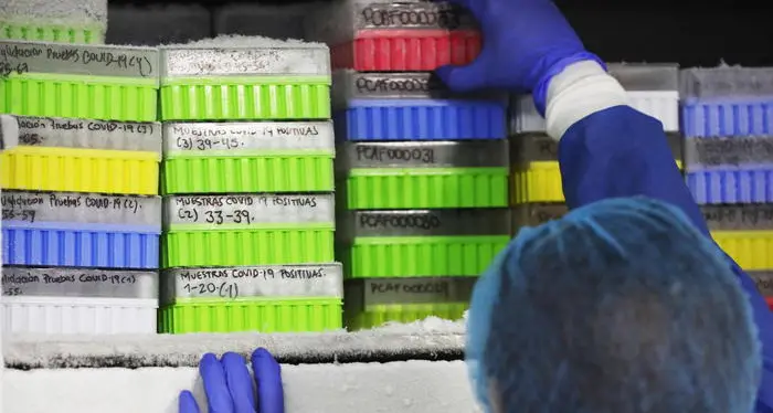 La Georgia State University «Un nuovo farmaco antivirale cura il covid e blocca i contagi»