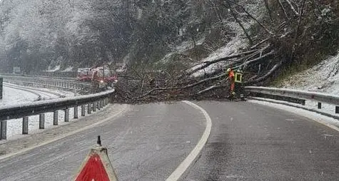 Smottamento al Valcanover, chiusa la strada del lago da San Cristoforo a Calceranica