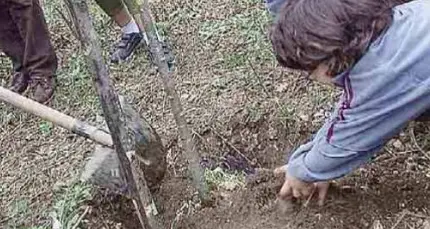 Pinè: piantati 700 alberi dall'Asuc con la startup trentina Vaia Cube