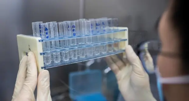 Germania, vaccinazioni covid già dal primo trimestre 2021