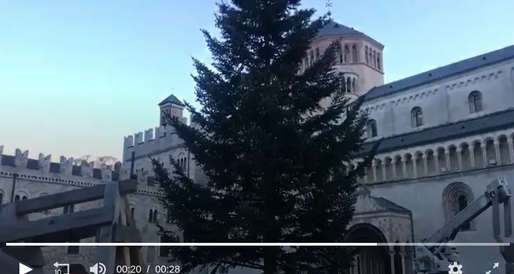 L'albero di Natale è arrivato in piazza del Duomo: viaggio da Candriai a Trento - Video