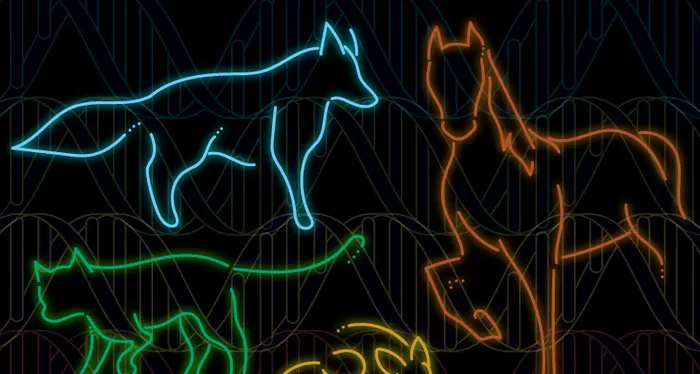 Ecco la prima mappa del genoma animale: mappate 240 specie