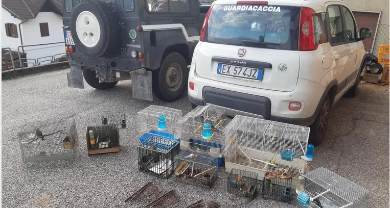 Bracconaggio, denunciate 4 persone scoperte mentre catturavano uccelli